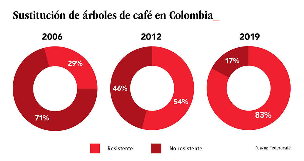 Sustitución de árboles de café en Colombia