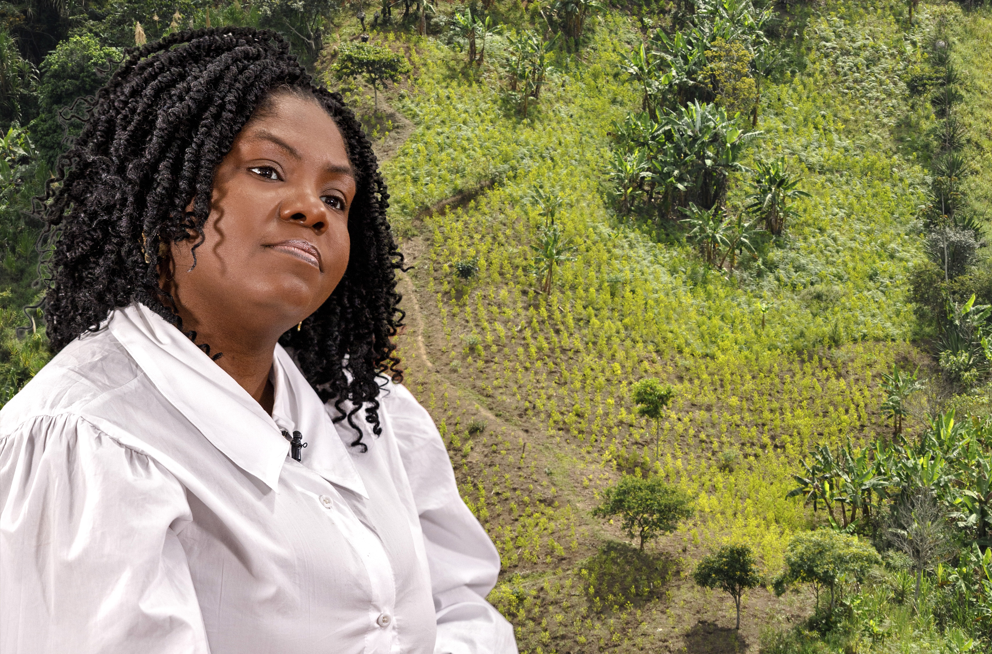 FRANCIA MARQUEZ Y CULTIVOS DE COCA