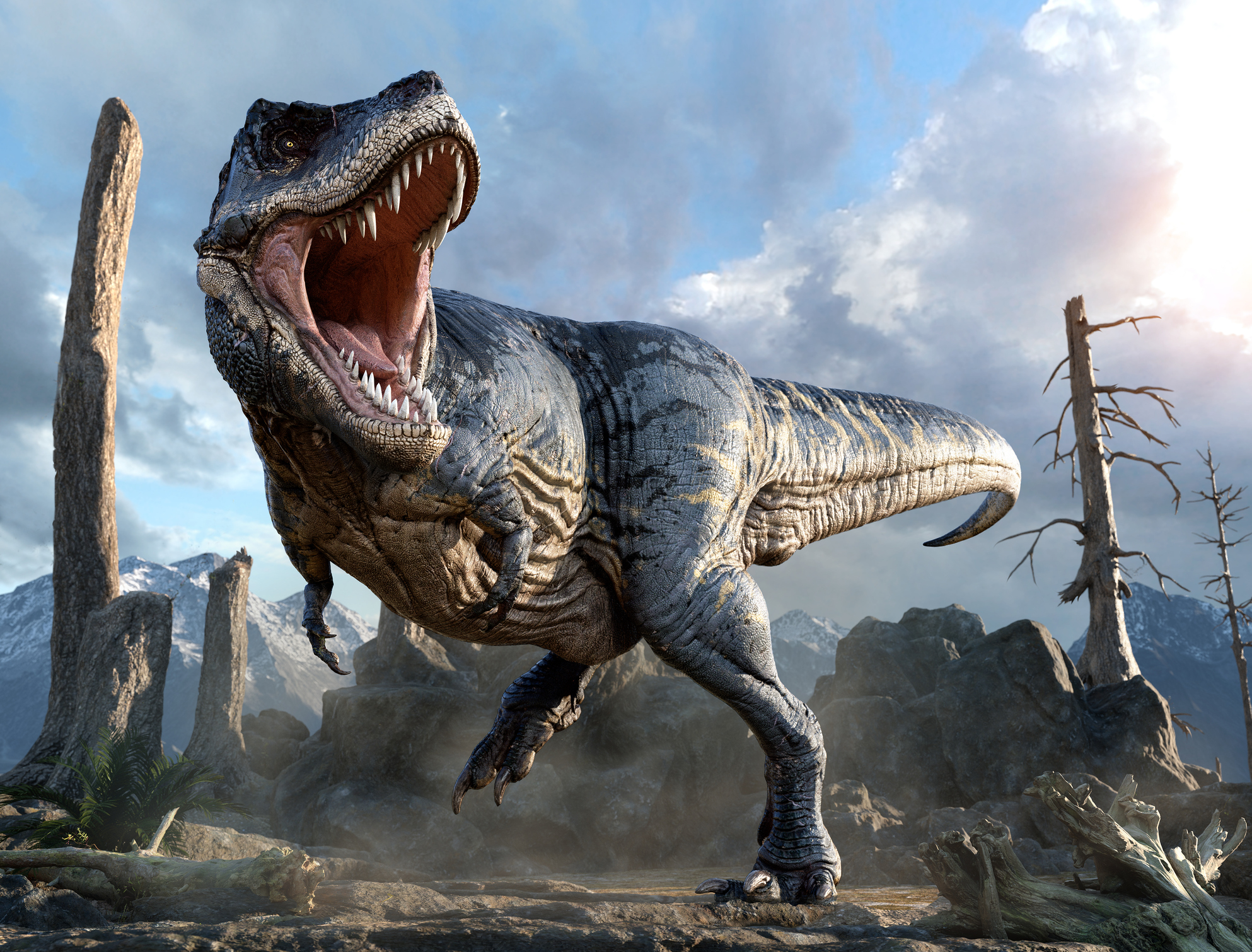 El ‘Tyrannosaurus rex’ no era tan listo como se pensaba