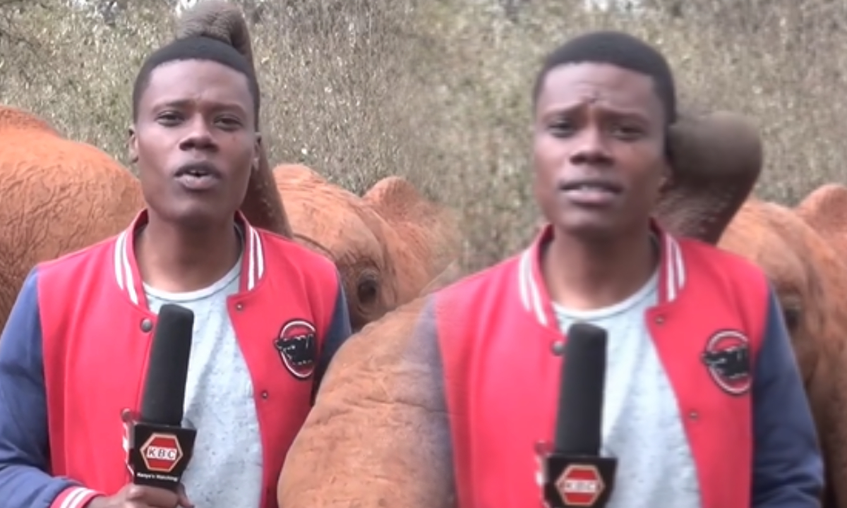 El periodista no es espera los jugueteos del elefante durante su informe en directo.