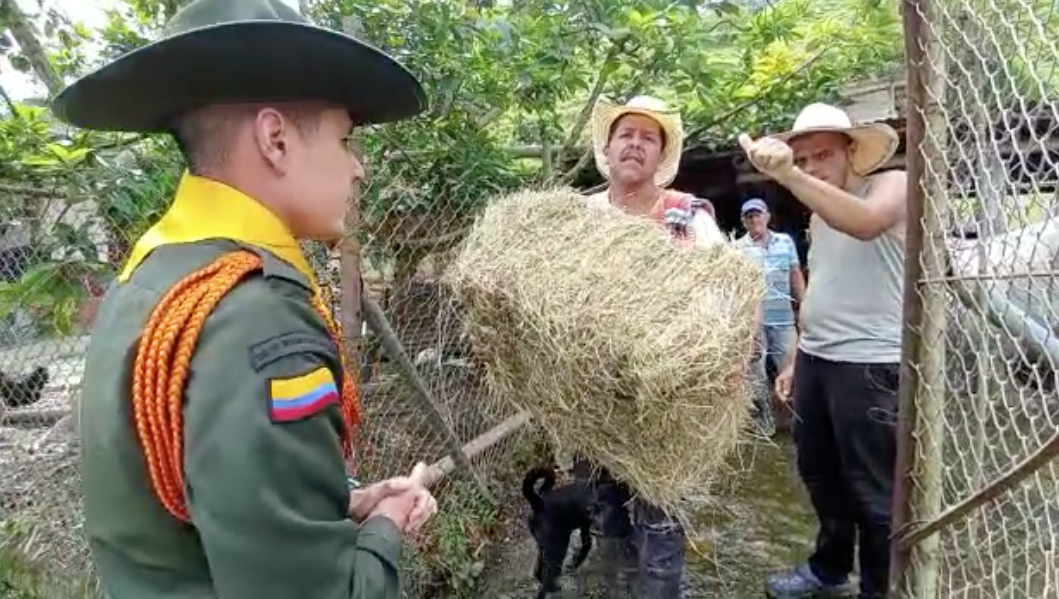 Más de 45 pacas de heno han sido entregadas por parte de la Brigada de Bienestar Animal de la Policía de Carabineros