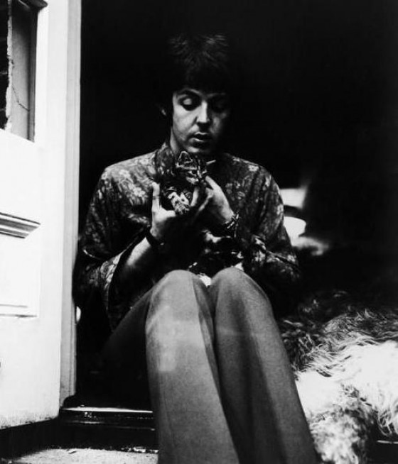 Paul McCartney - Foto: tomada de http://www.lalocadelosgatos.com/