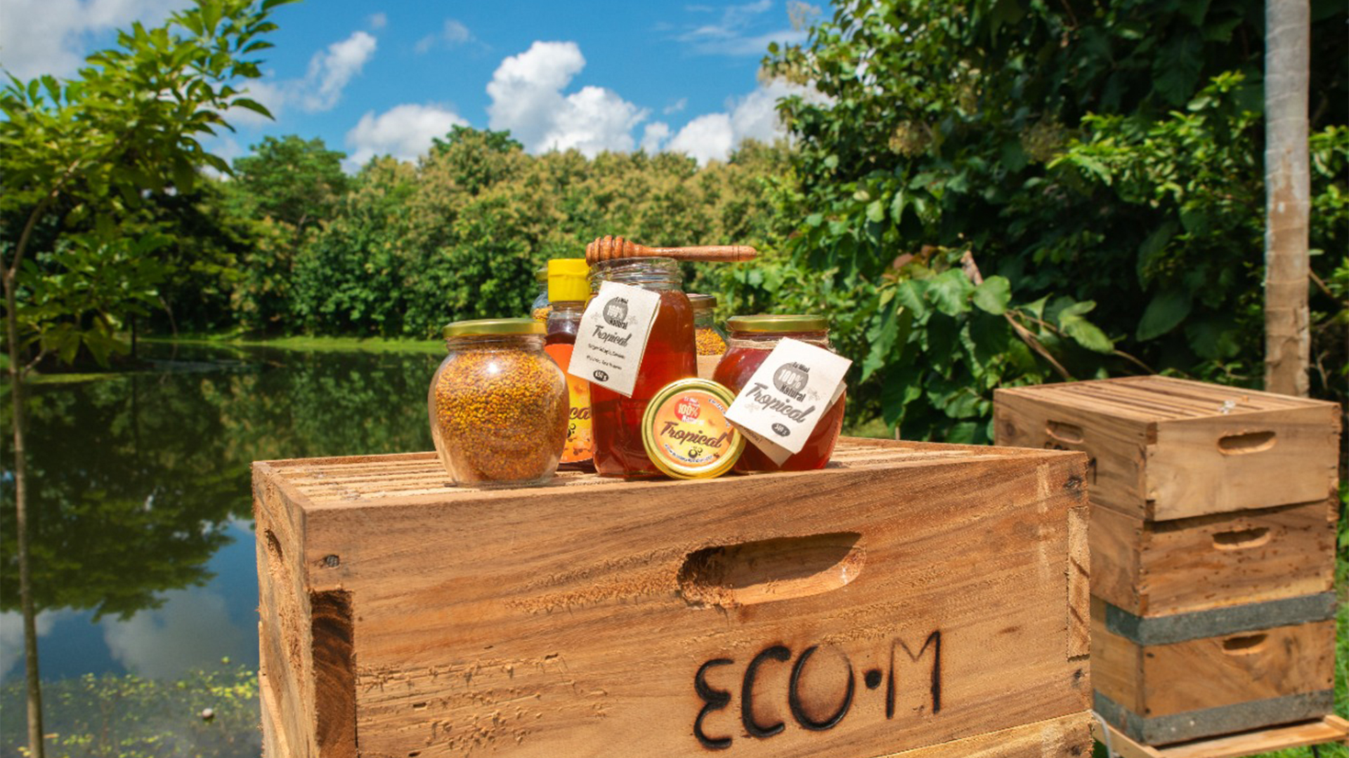 NO USAR, USO EXCLUSIVO MEJOR COLOMBIA, Especial Minambiente, Negocios Verdes