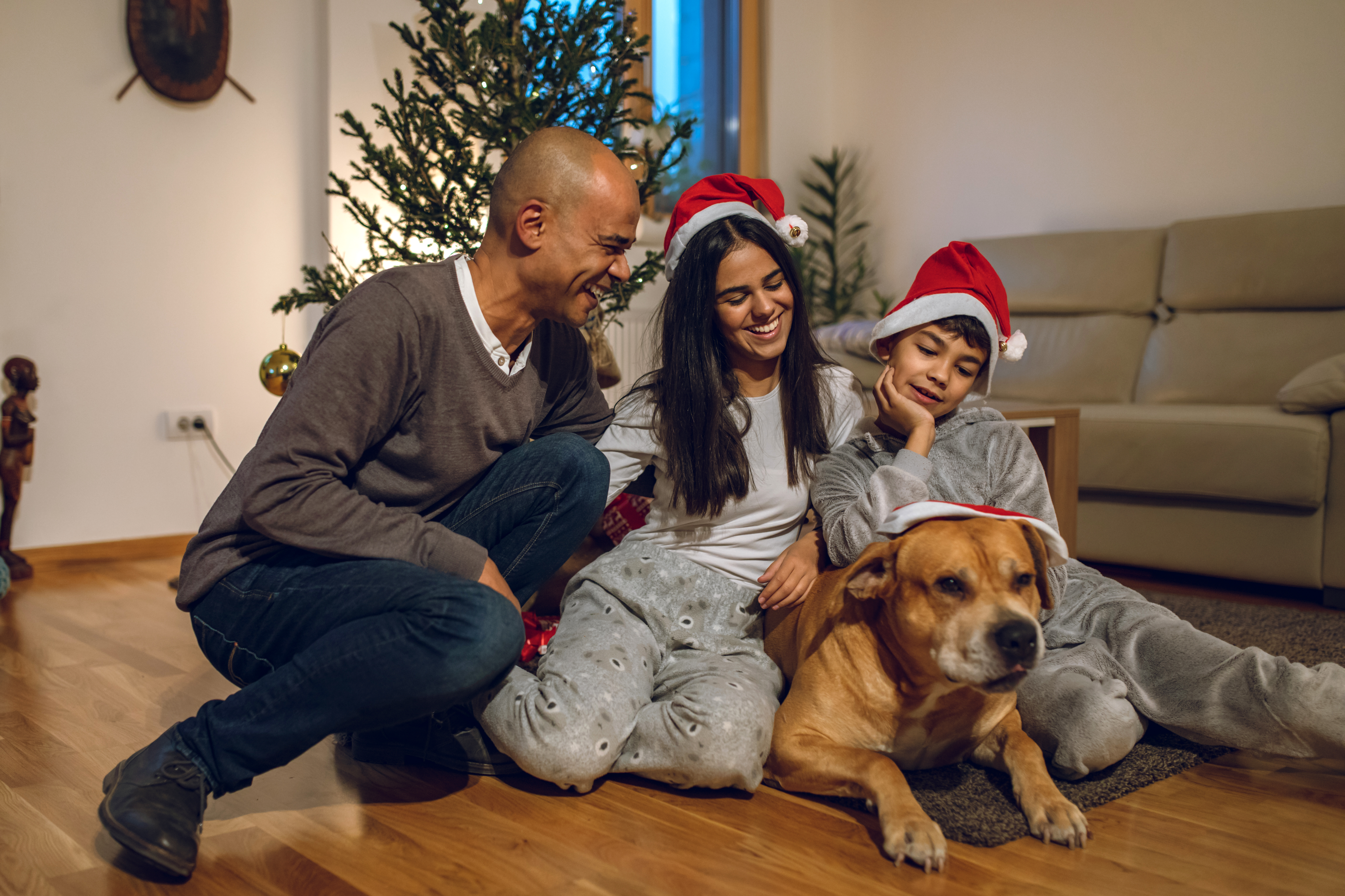 Consjeos para disfrutar con las mascotas en Navidad.