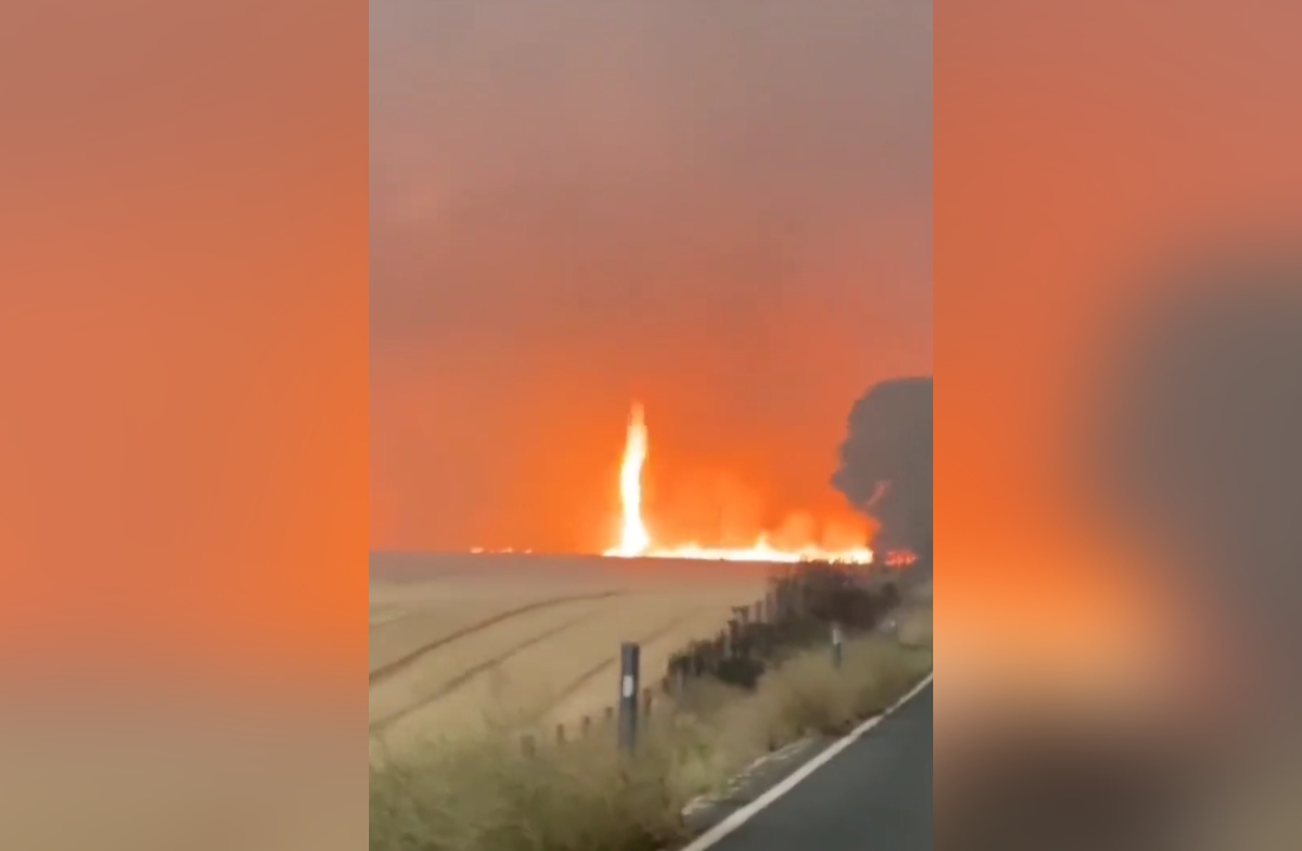 Twitter:@amg9847 (API)