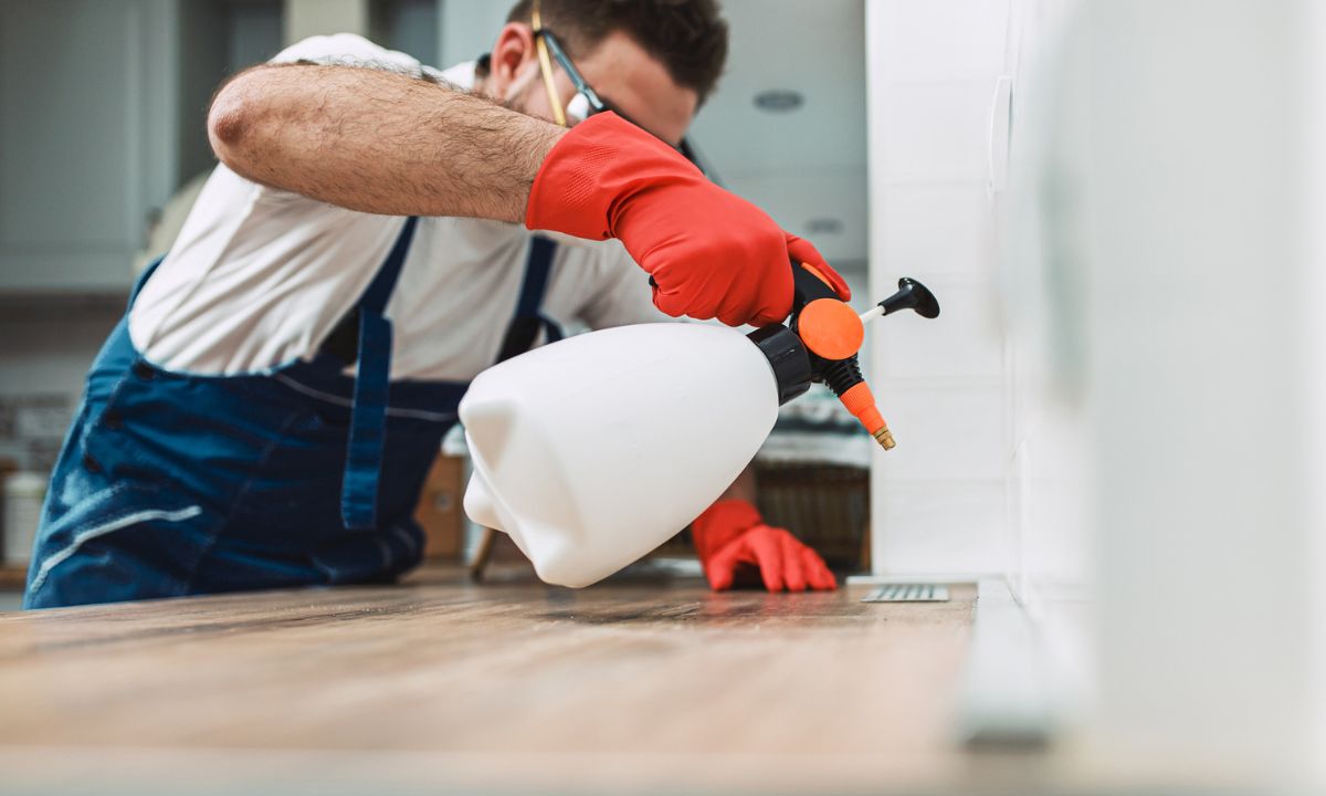 Así se pueden evitar las plagas en el hogar.