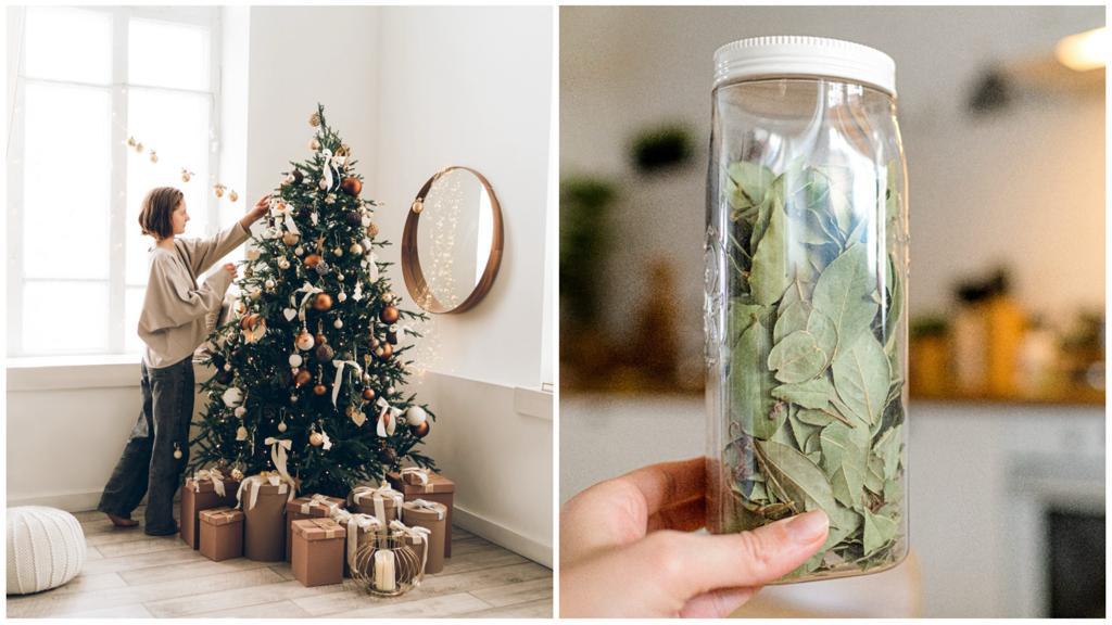 Árbol de Navidad y frasco con hojas de laurel.