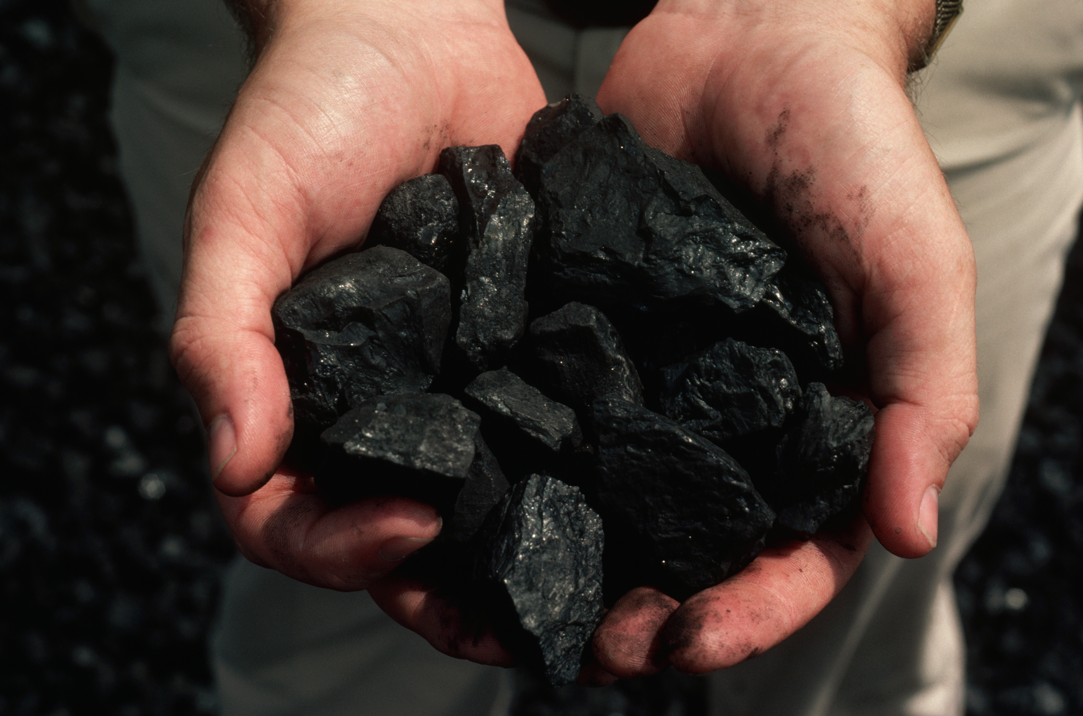 8 usos del carbón activado que debes conocer - Mejor con Salud