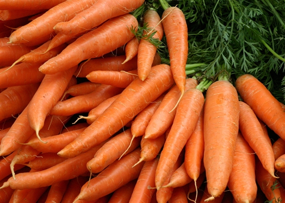  Zanahorias: Según la publicación científica LiveScience, estas te dan los niveles de glucosa que tu cerebro necesita para funcionar bien.  Foto: Pantherstock