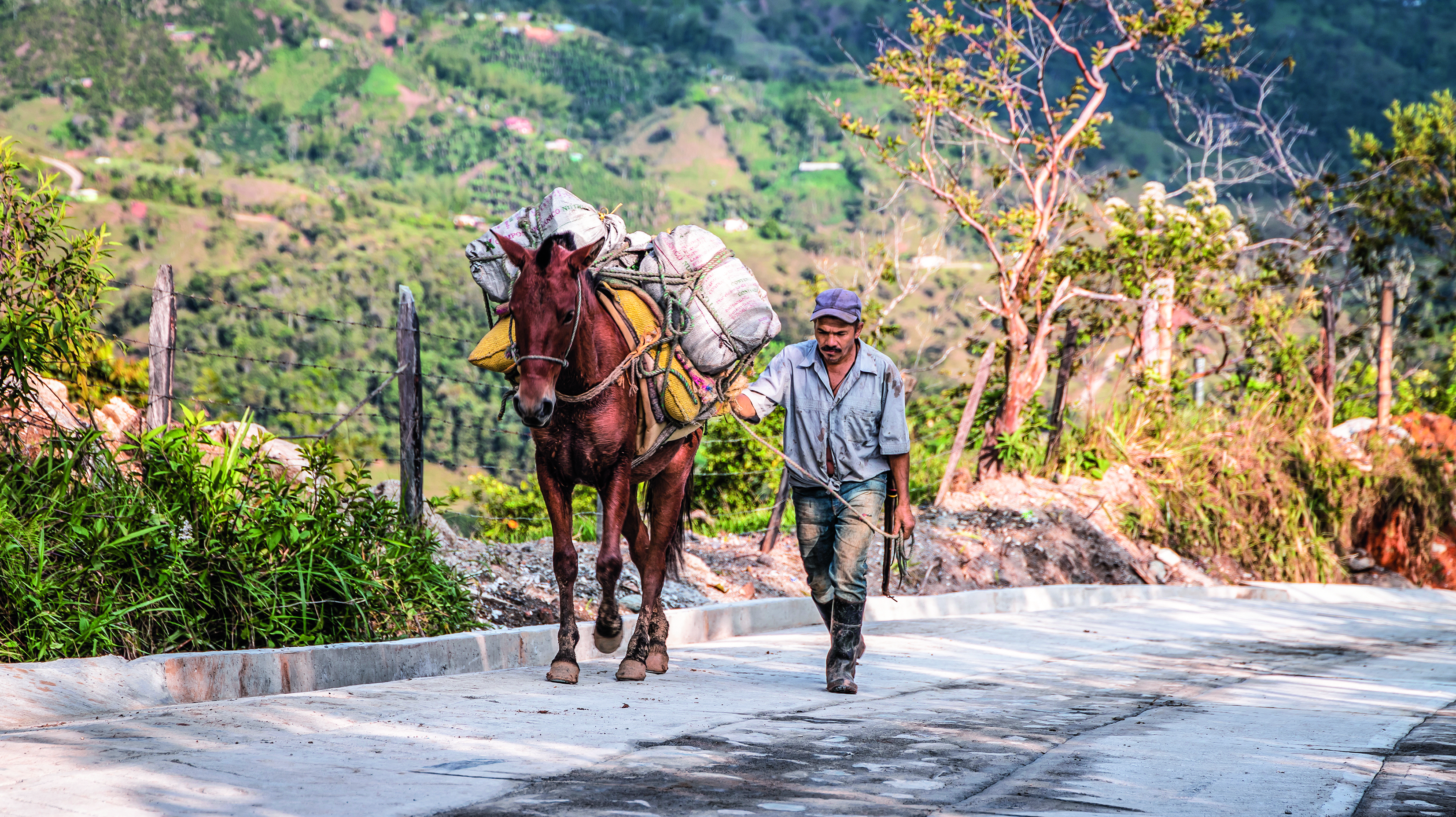 La inversión del Gobierno permitió desarrollar 1.529 proyectos en 1.054 municipios.