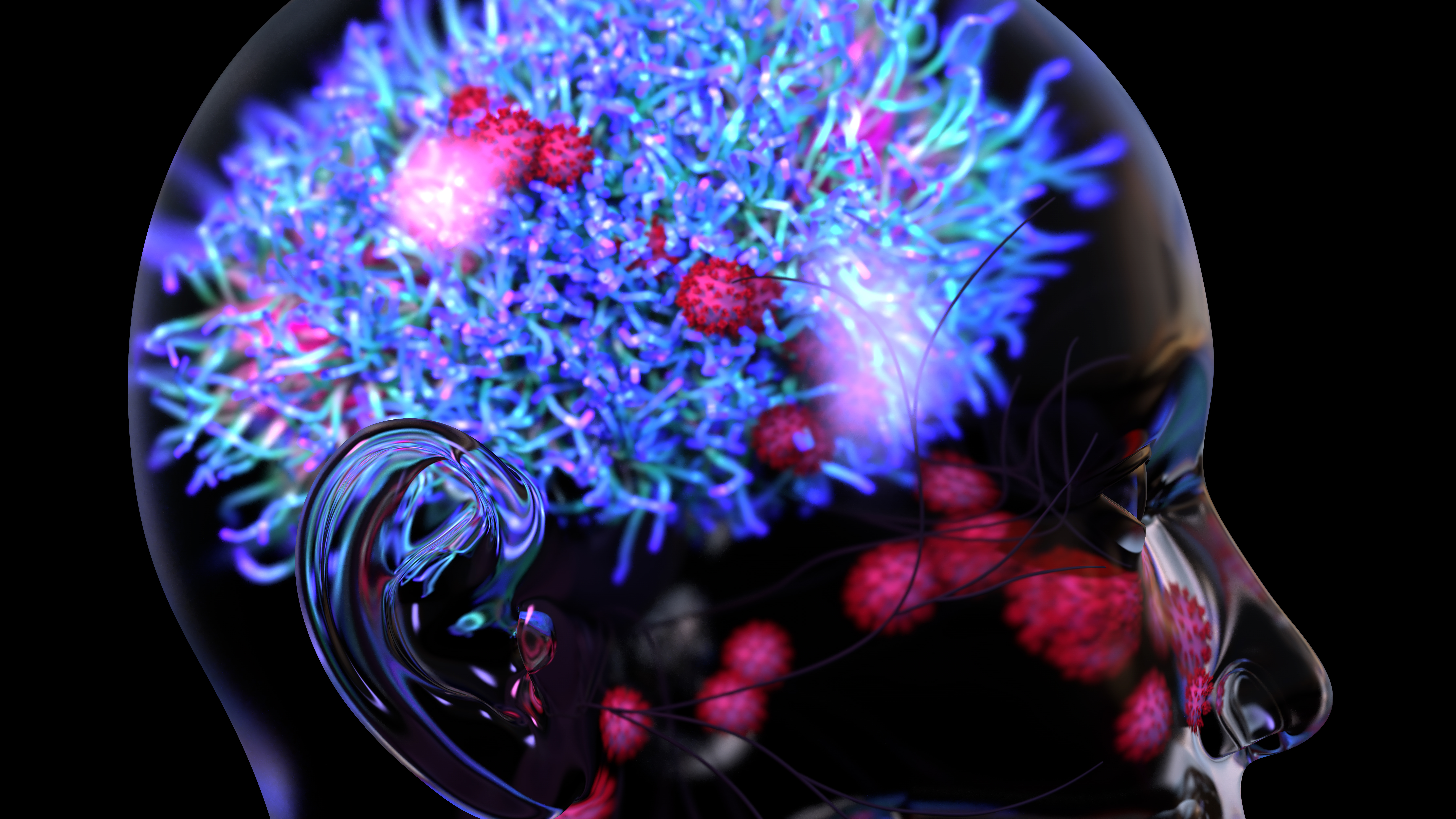 El coronavirus o los virus viajan al cerebro a través de la nariz, el COVID-19 puede dañar el cerebro y causar síntomas como delirio y confusión