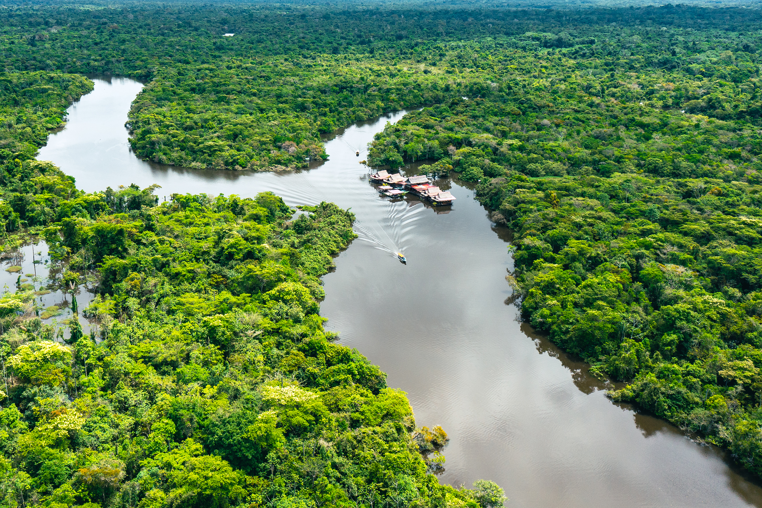Vista aérea de la selva amazónica en Perú, América del Sur. Bosque verde. Vista panorámica. Selva en Perú.