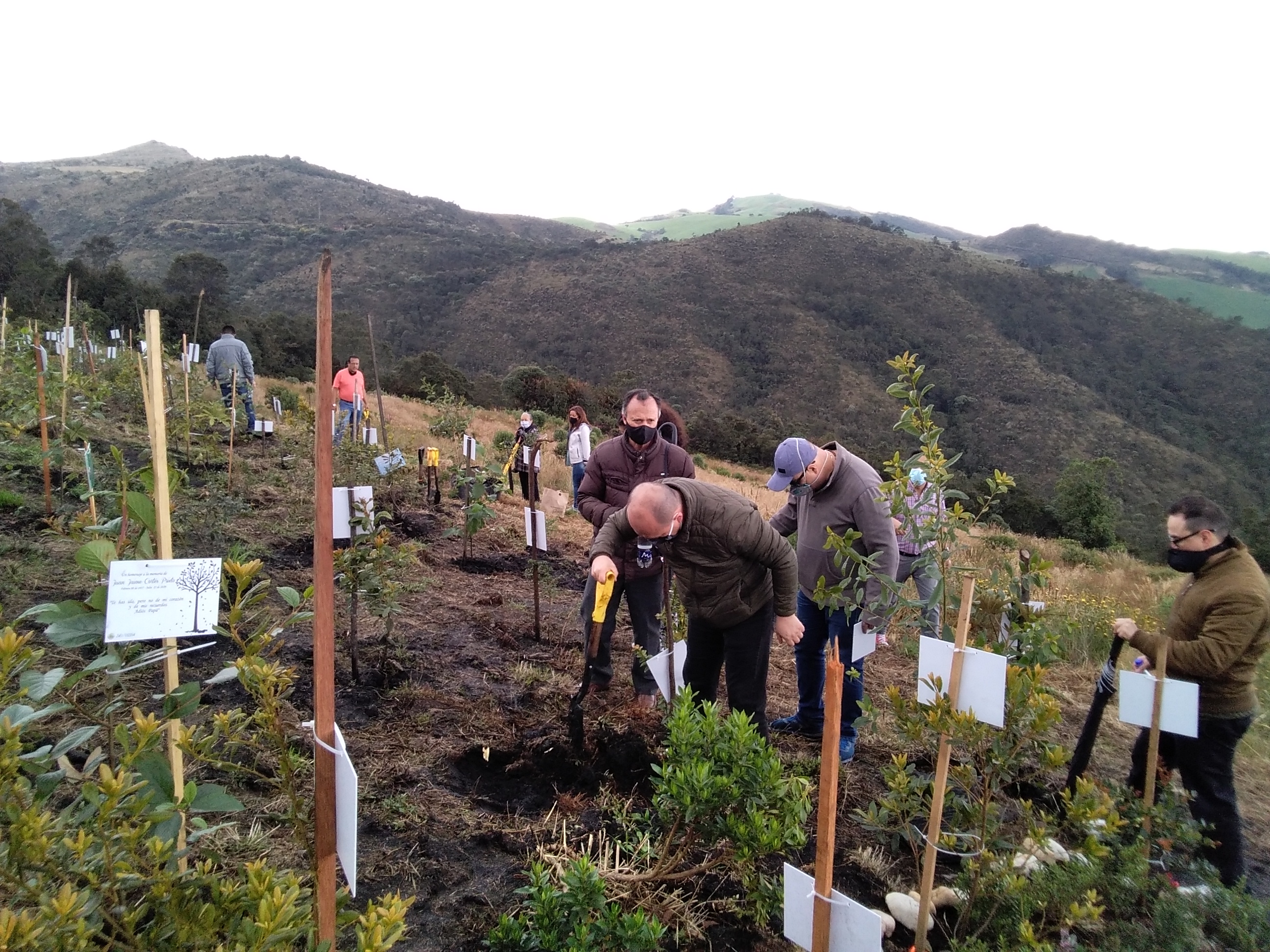 Pódcast El Lado +: la historia del proyecto Colombia Reserva de Vida para  restaurar el páramo de Guerrero sembrando árboles con las cenizas de  personas fallecidas
