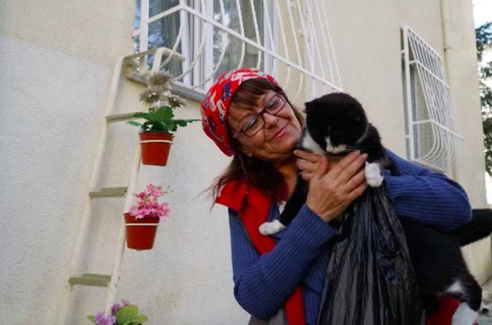 mujer pone escalera para gatos callejeros