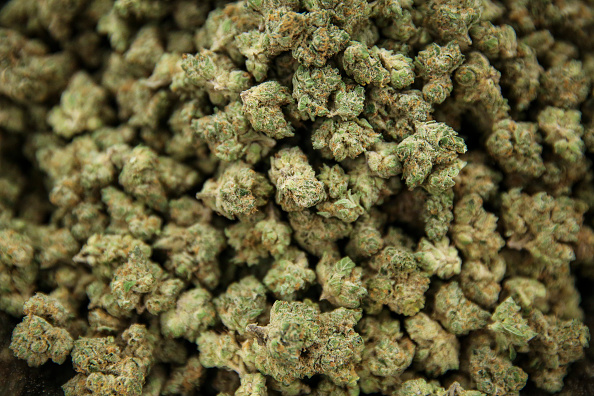 Medway, MA - October 27: Trimmed flower is seen in the final stages of processing at CommCans manufacturing facility. Trimming ensures that all leaves and stems have been removed from the bud. Trimming also removes the fan leaves, which contain little THC, leaving only the desirable buds or flower. From here, cannabis can begin the process of production. Different stages of growing and processing marijuana plants are seen at CommCans manufacturing facility in Medway, MA on Oct. 27, 2021. (Photo by Erin Clark/The Boston Globe via Getty Images)