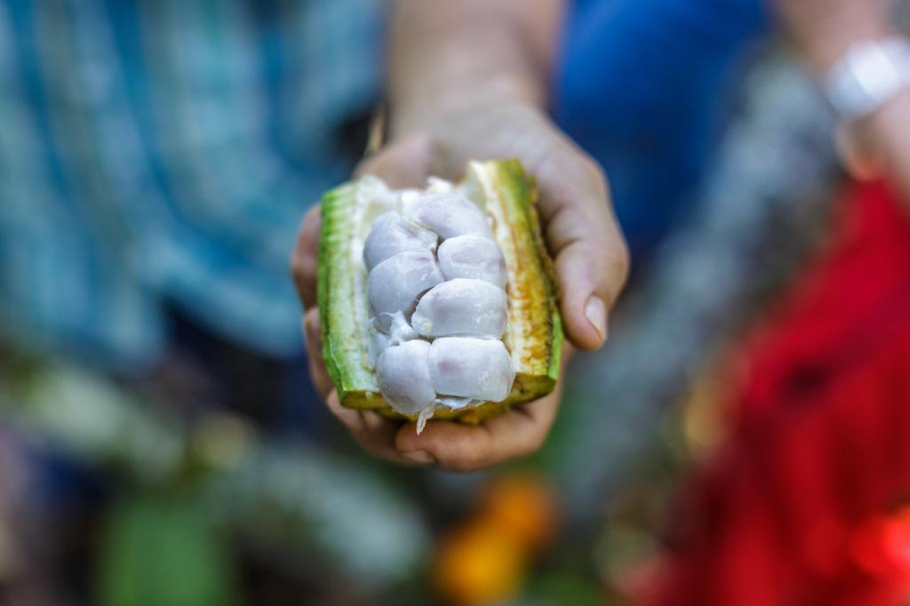 Esta iniciativa que busca la consolidación de nuevos mercados en el exterior para estos productos