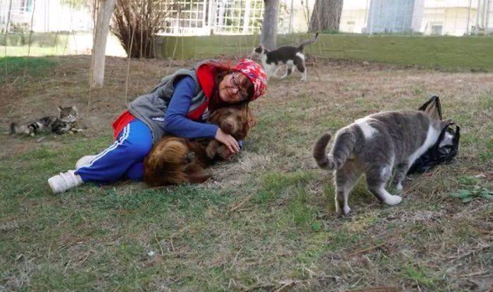 mujer pone escalera para gatos callejeros