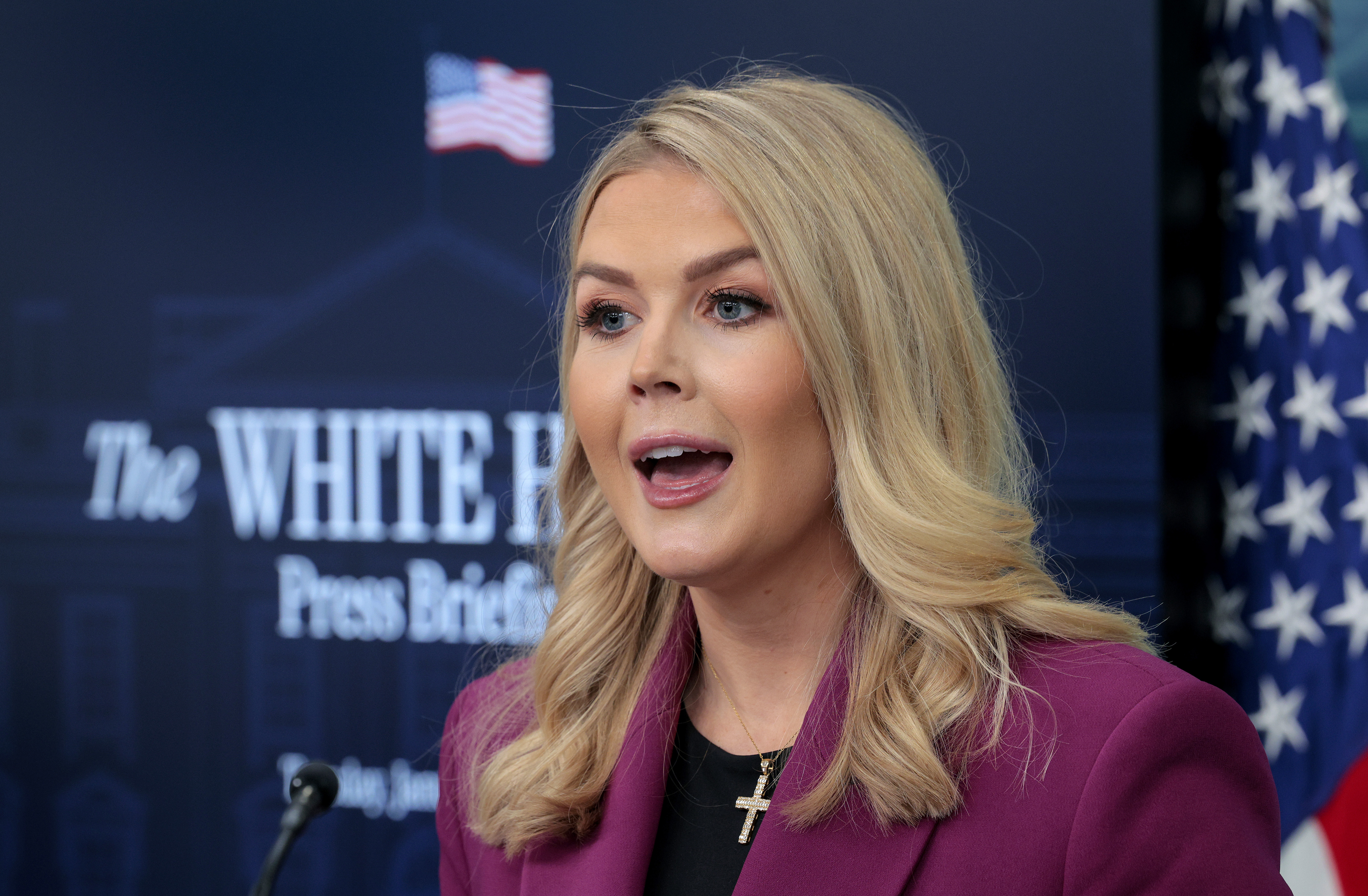 La funcionaria habló nuevamente de lo que pasó con el Gobierno Petro.