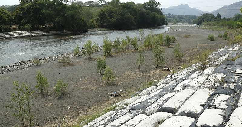 En el río Guarinó, que nace en el municipio de Marulanda (Caldas) y desemboca en el río Magdalena, se han formado playas en las que ahora aflora vegetación. Foto: Guillermo Torres/SEMANA