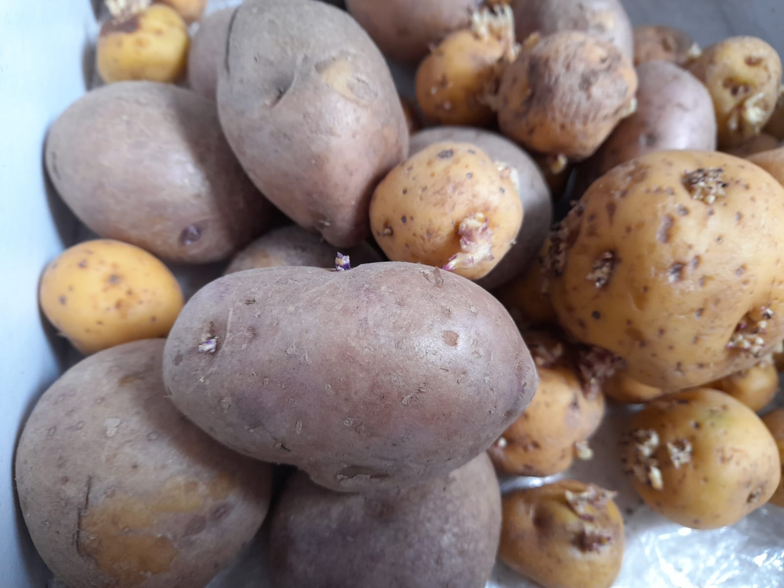 El cierre de la vía Panamericana empezó a generar cambios en los precios de la canasta familiar