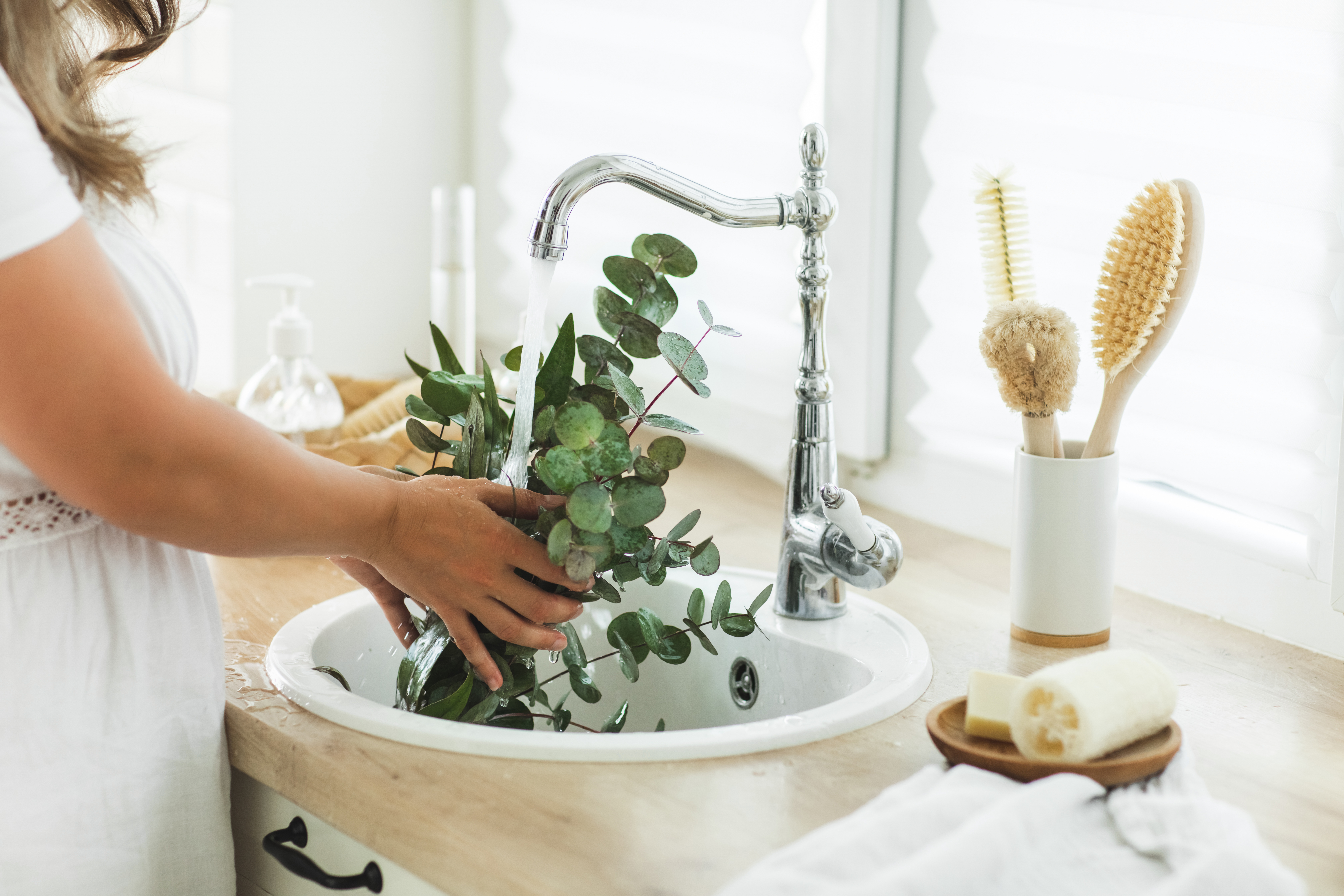 El eucalipto tiene propiedades antimicrobianas.