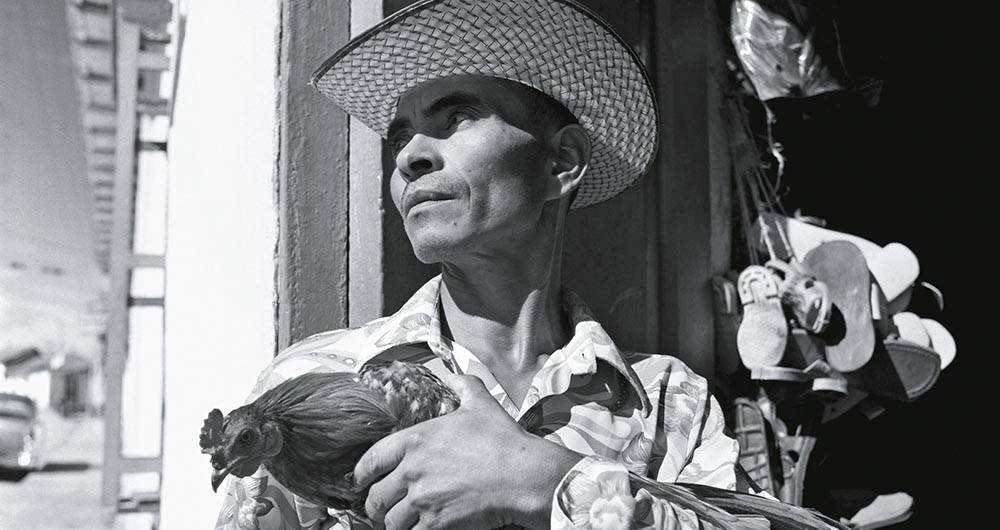 ‘El gallero’. Aracataca, Colombia, 1951. Foto:©Alejandra Matiz. Acervo de la Fundación Leo Matiz.