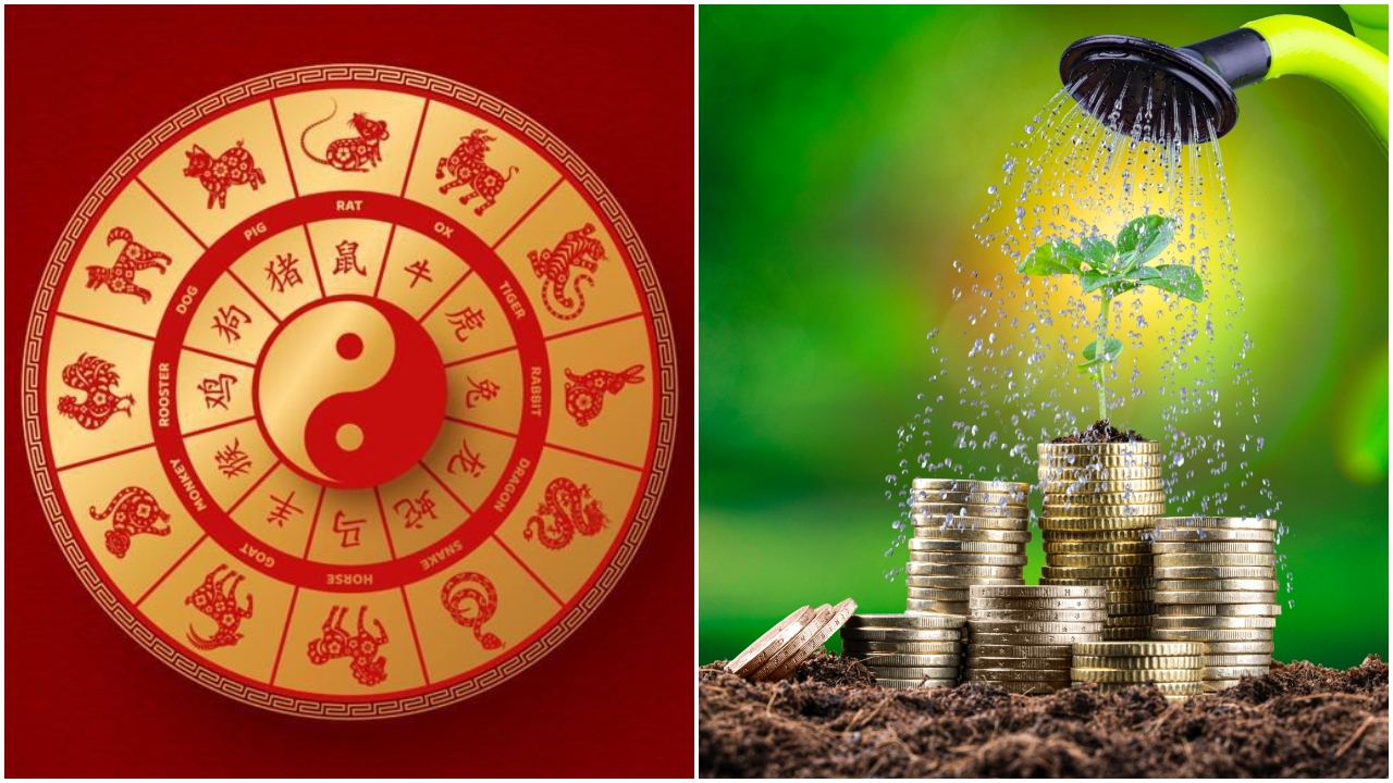 Las plantas pueden atraer la suerte en los signos del Horóscopo Chino.