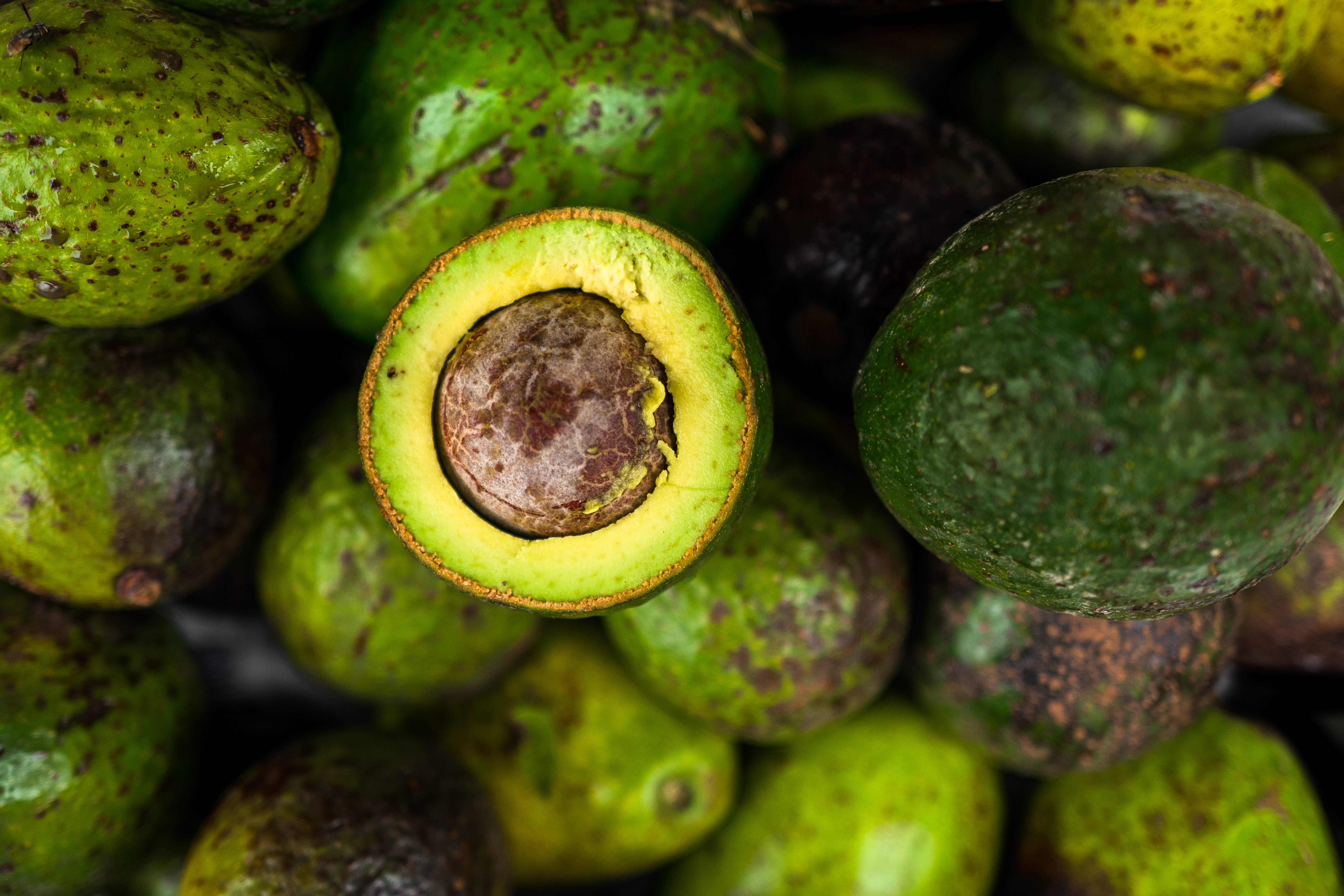 CALI, COLOMBIA - DECEMBER 01: Fresh and ripe avocados are seen arranged on the market stand for sale in the street market on December 1, 2022 in Cali, Colombia. Avocado has always been a highly consumed food in Colombia due to its high nutritional value. Favorable climatic conditions of the mountain region make Colombia a suitable place for this type of plantations. Colombians prefer a green variety known as Criollo and the per capita consumption rate of avocado is one of the highest in the world. (Photo by Jan Sochor/Getty Images)