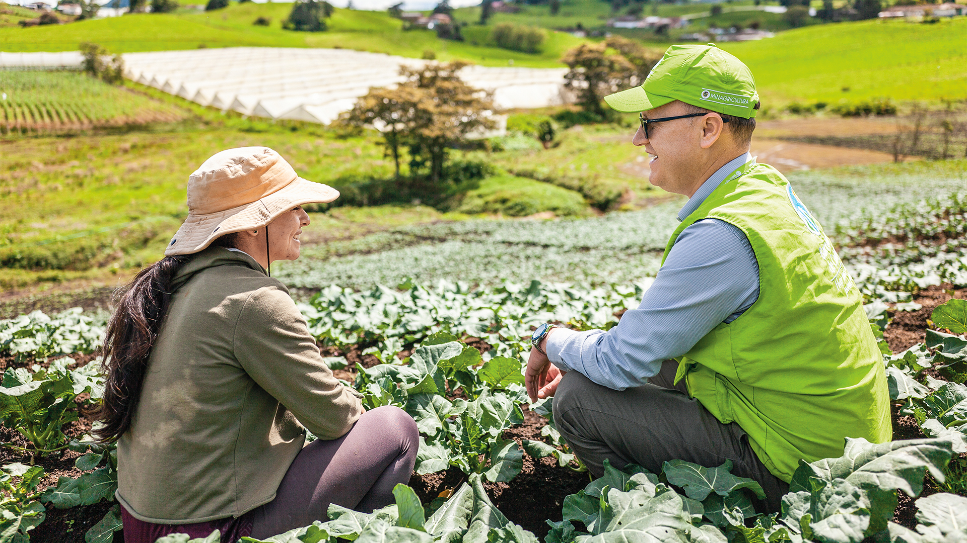 El Banco Agrario fue el primer banco del país en hacer trámites de solicitudes de crédito a través de corresponsales bancarios por una aplicación.
