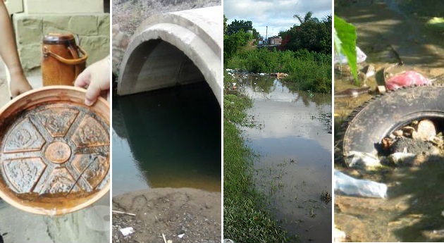 Alertas por casos de chikungunya en Venezuela. Las aguas estancadas son criaderos frecuentes del mosquito Aedes aegypti, transmisor de los virus del Chykungunya y el dengue.