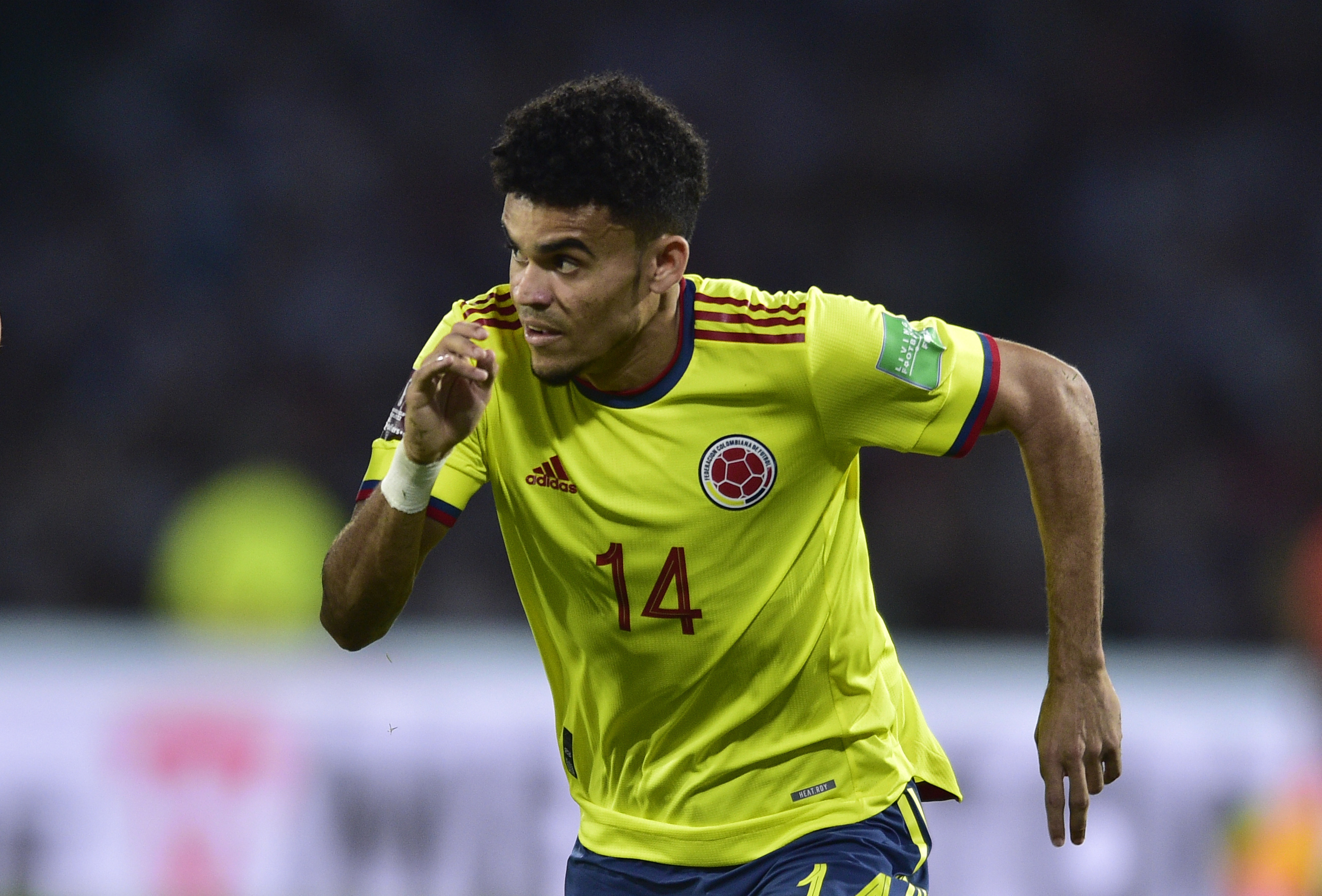 FOTOS | Luis Díaz salió llorando tras la casi consumada eliminación de la  Selección Colombia