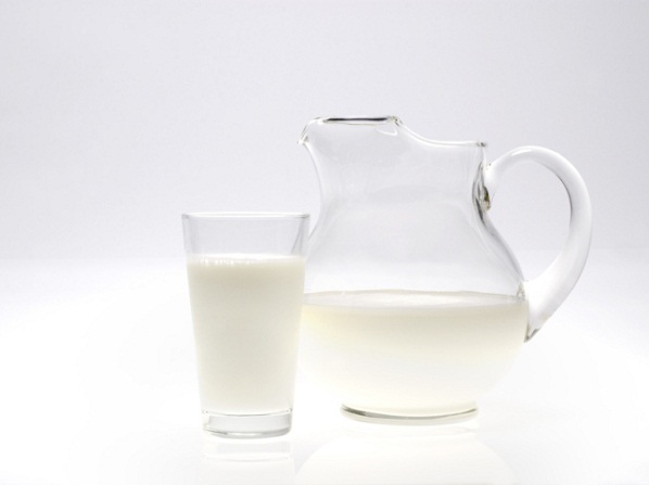 Leche: Las proteínas son digeridas más lentamente que los carbohidratos. Como consecuencia, proveen al cuerpo y al cerebro de energía durante más tiempo, incluso cuando la energía de los carbohidratos se ha agotado. 