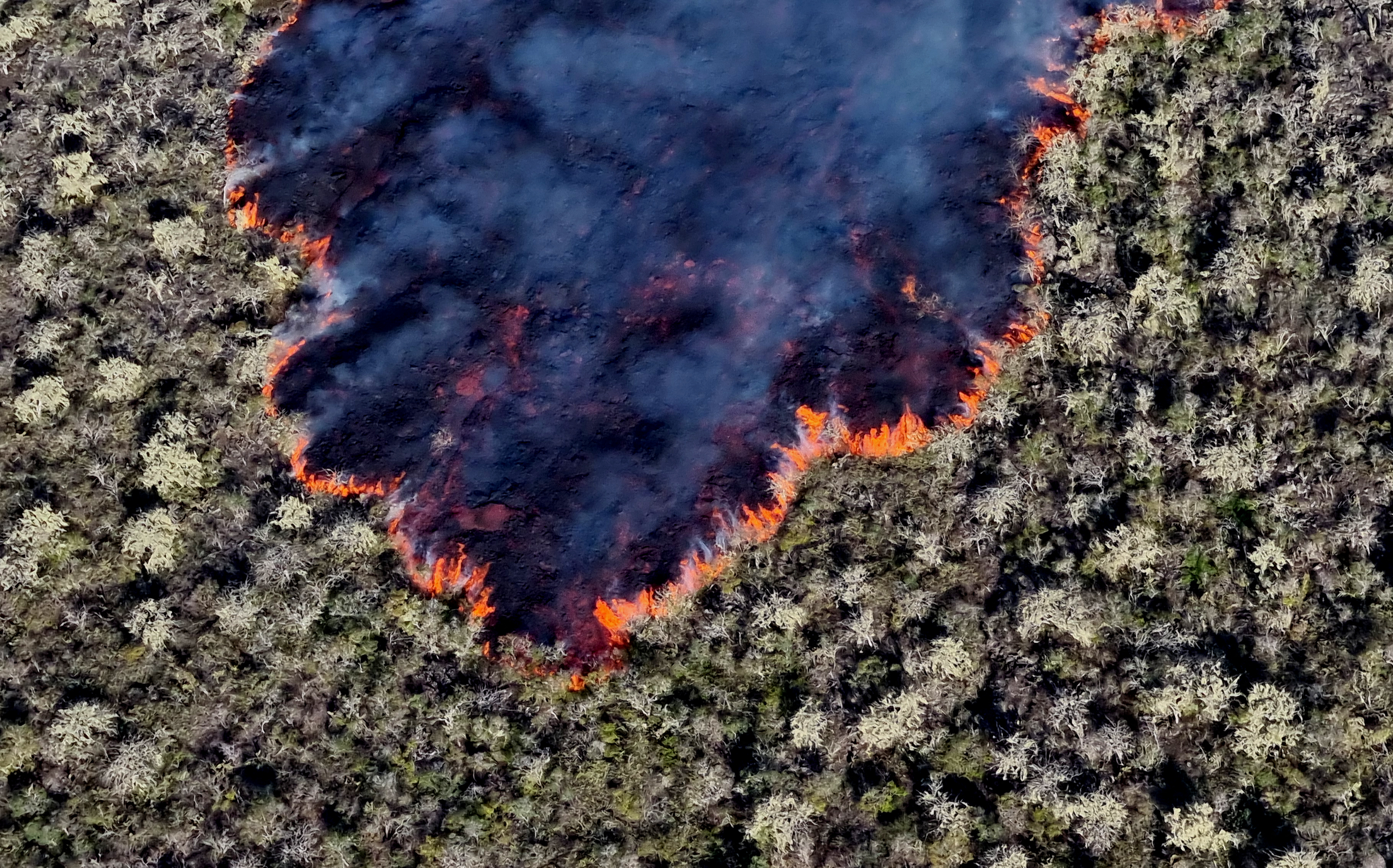 Imagen del folleto publicada por el Parque Nacional Galápagos que muestra una vista aérea de la lava expulsada por el Volcán Wolf después de que entró en erupción por segunda vez en siete años el 7 de enero de 2022, en la Isla Isabela en las Islas Galápagos en el Océano Pacífico, a 900 km de la costa ecuatoriana. - La isla es el hogar de la iguana terrestre rosada de Galápagos, en peligro crítico de extinción. (Foto por PARQUE NACIONAL GALÁPAGOS / AFP) / RESTRINGIDO A USO EDITORIAL - CRÉDITO OBLIGATORIO "FOTO AFP / PARQUE NACIONAL GALÁPAGOS / WILSON CABRERA" - SIN MARKETING - SIN CAMPAÑAS PUBLICITARIAS - DISTRIBUIDO COMO SERVICIO A CLIENTES
