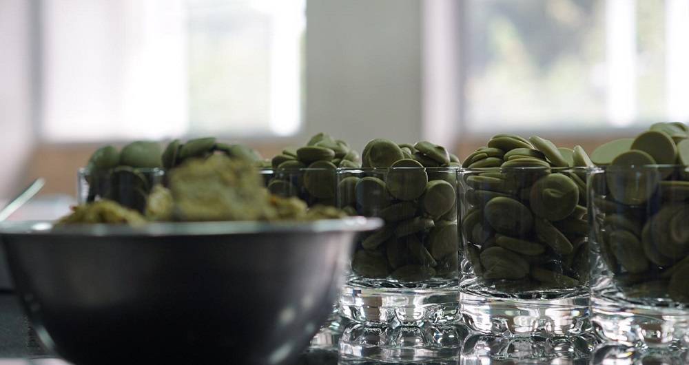 Galletas de harina de coca