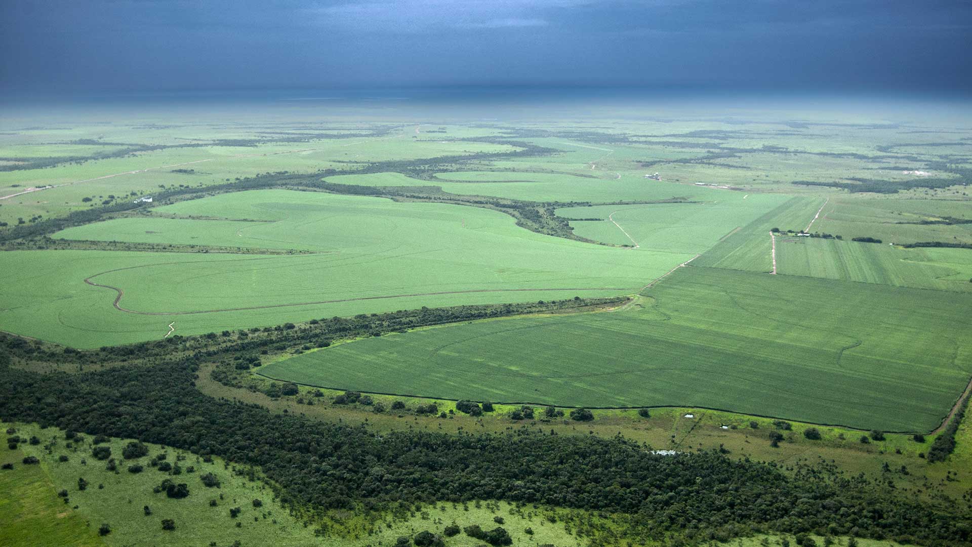 Valle del Cauca: industria, inversión y biodiversidad