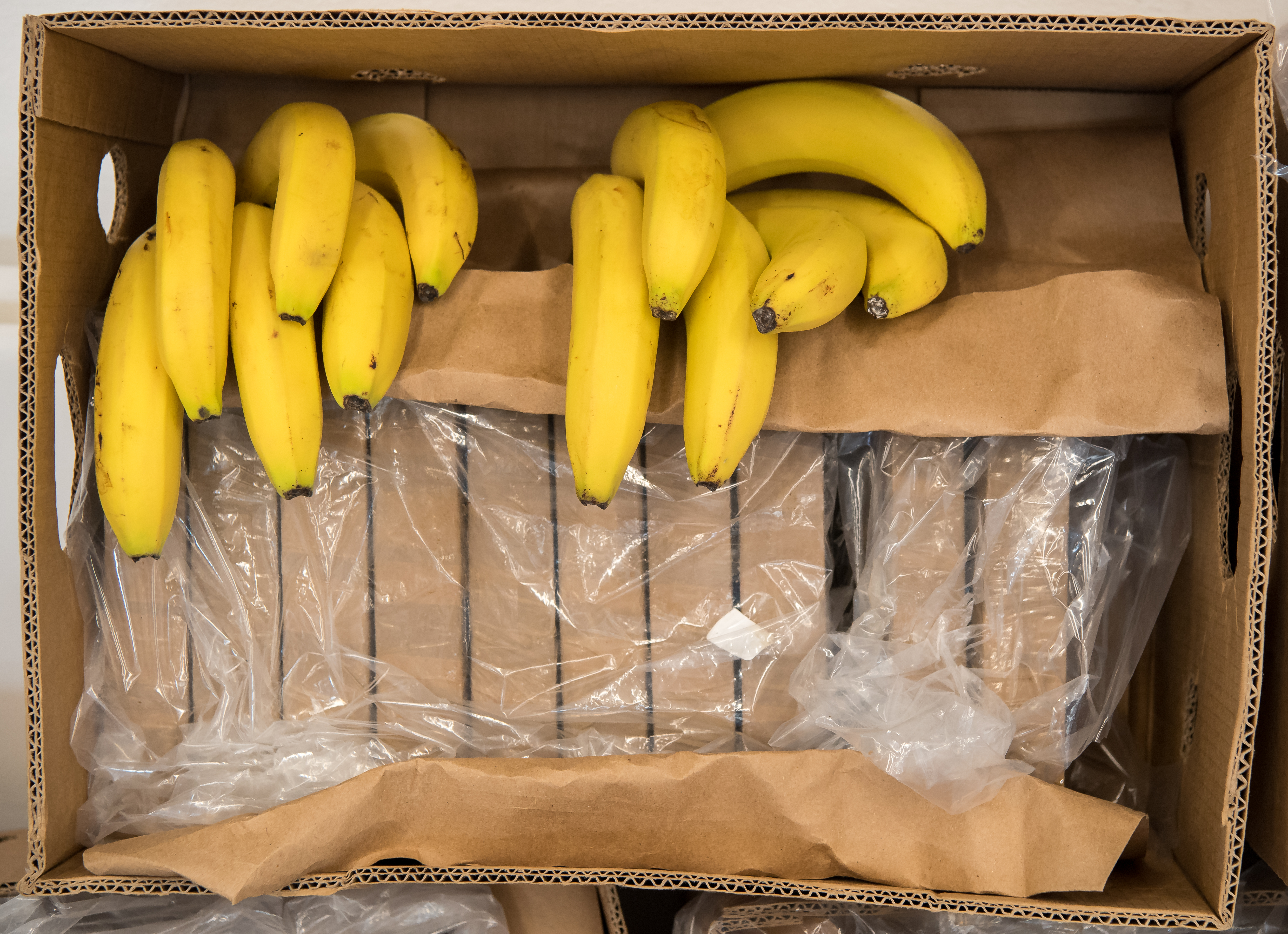 Cáscara de banano: estas propiedades medicinales