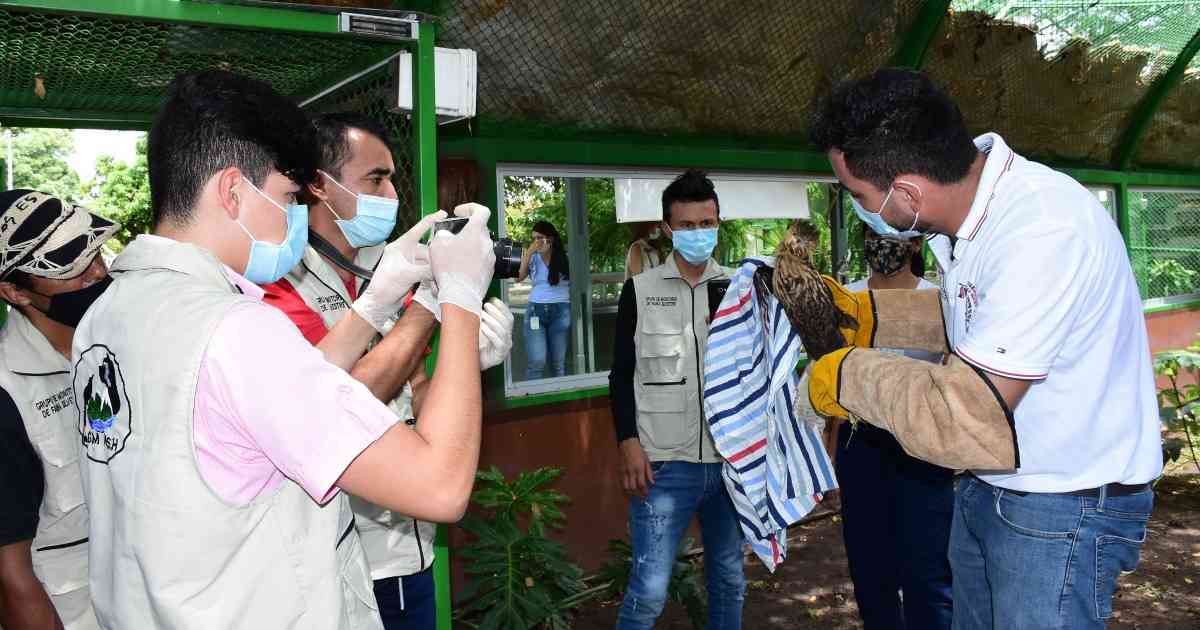 Los grupos de monitoreo protegen no solo las especies que habitan en sus territorios, también los ecosistemas en los que habitan. Foto: CAM - Colombia hoy 