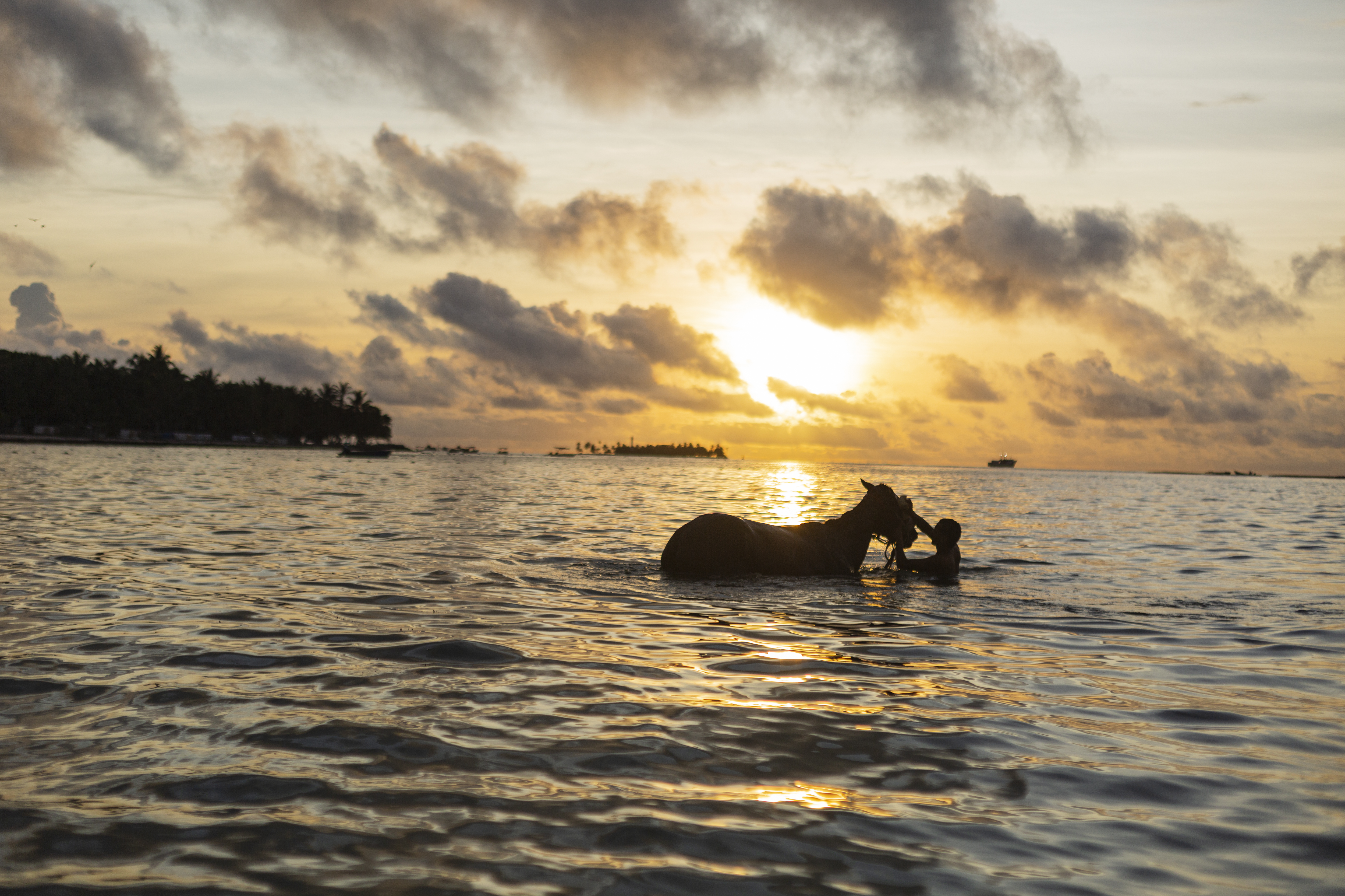 Es usual ver a los niños y jóvenes bañando los caballos en el mar.