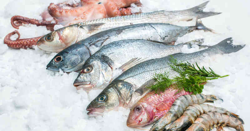 Cuáles son los pescados con menos mercurio?