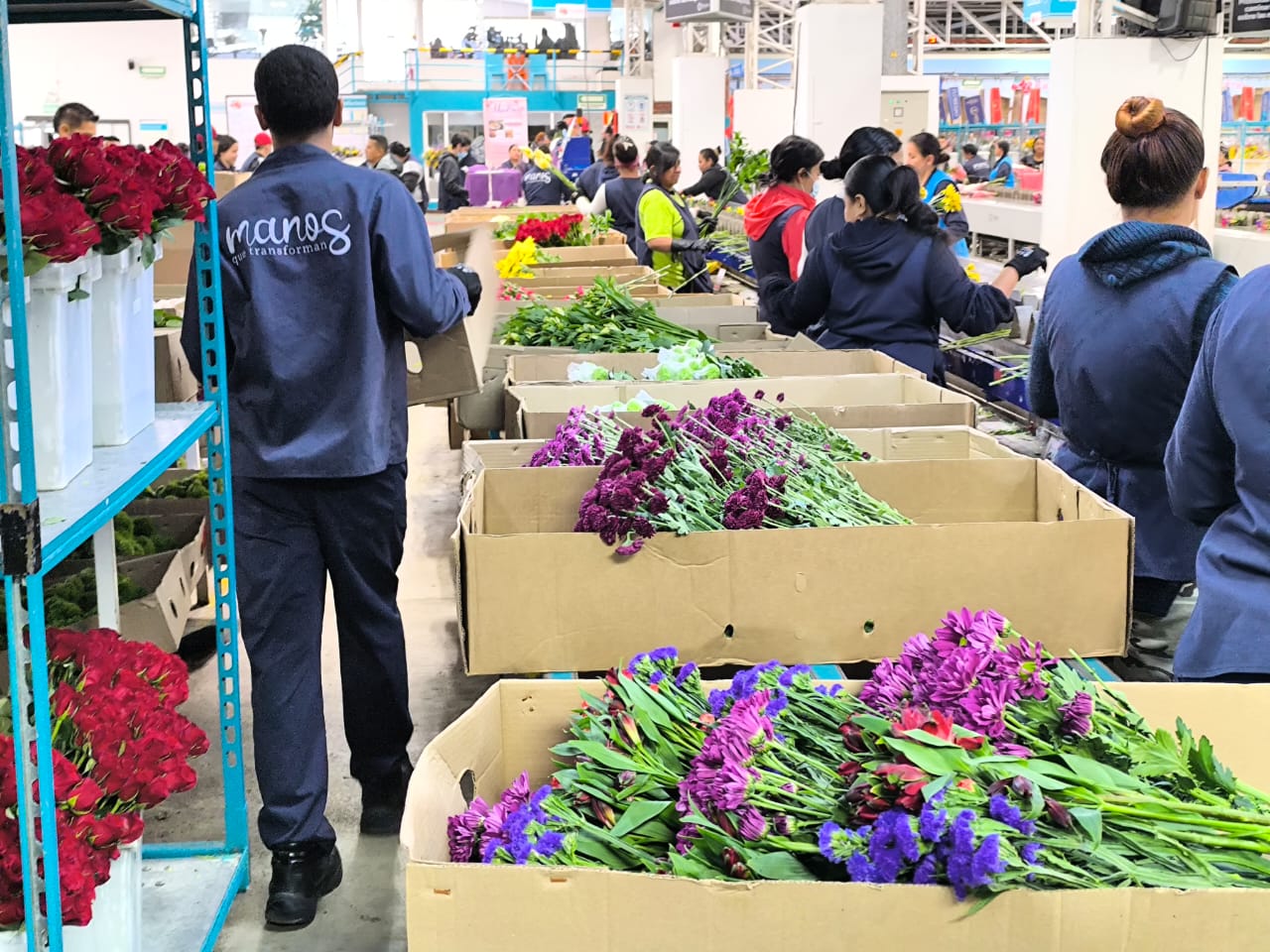 El principal destino es Estados Unidos, país que en 2023 representó el 77 % en valor.