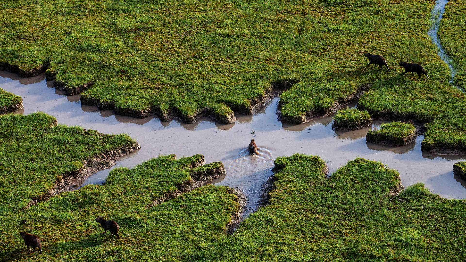 NO USAR, USO EXCLUSIVO MEJOR COLOMBIA, Especial Mejor Colombia, Regiones Inversión turismo