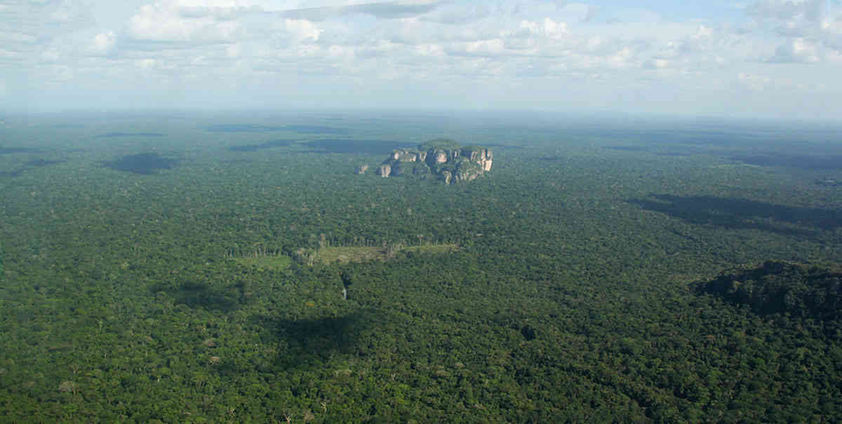 Reducir las emisiones de Gases de Efecto Invernadero en un 20 por ciento en 2030 no evitaría que la deforestación en Colombia siga incrementándose.