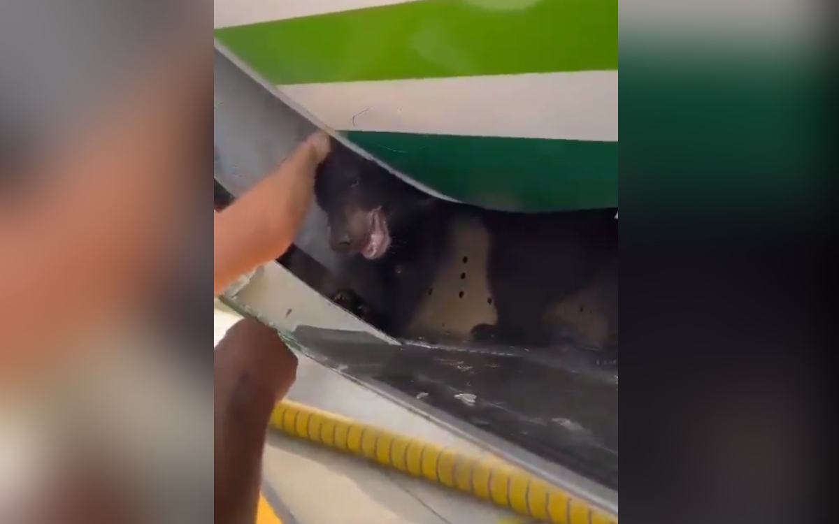 Twitter:@aviationbrk