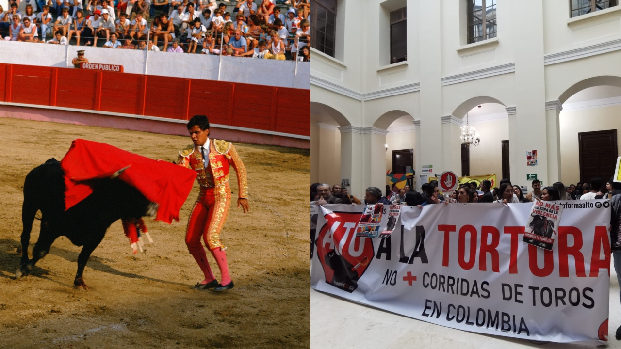 Varias voces celebraron la decisión del Congreso.