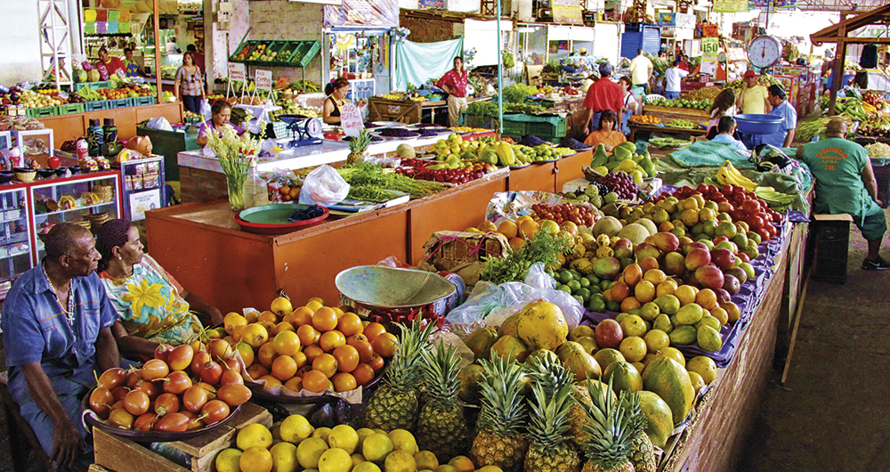 Para el tercer trimestre de este año, en el crecimiento anual del PIB desde la oferta, de los 12 sectores de la economía, solo el agrícola decreció (-1,4 por ciento). Los alimentos explicaron el 32 por ciento de la inflación mensual, impulsada por papas, frutas frescas, arroz, huevos y café.