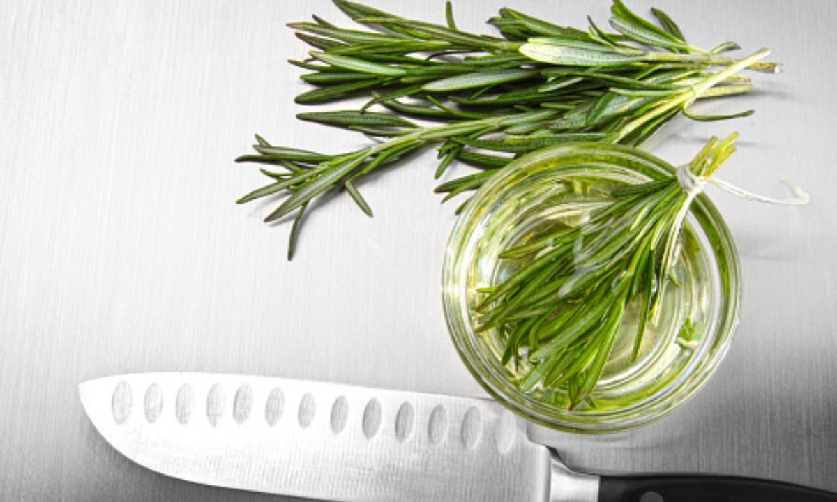 Así se debe cortar la hierbabuena.