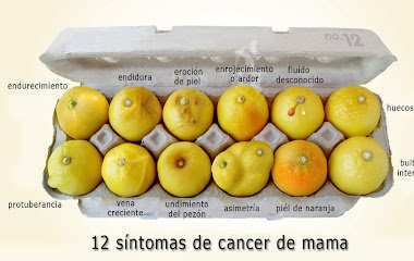 limones380.jpg