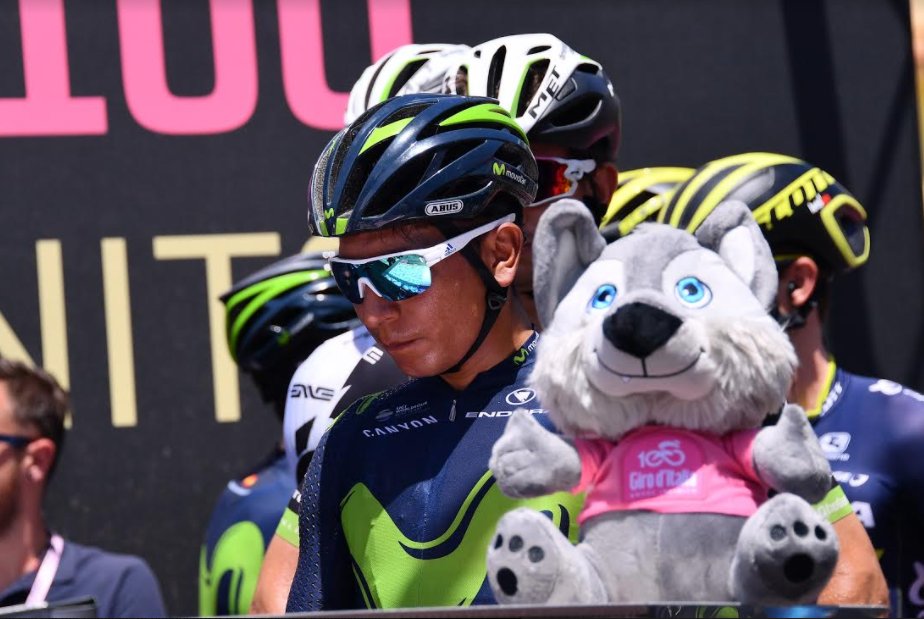 Desde 2015, Lupo Wolfie se ha convertido en todo un atractivo para la competencia