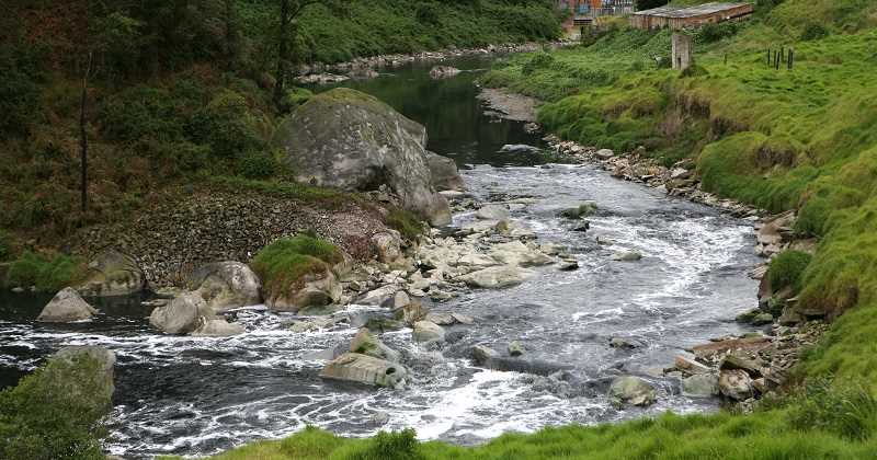La contaminación del río Bogotá impide aprovechar su potencial