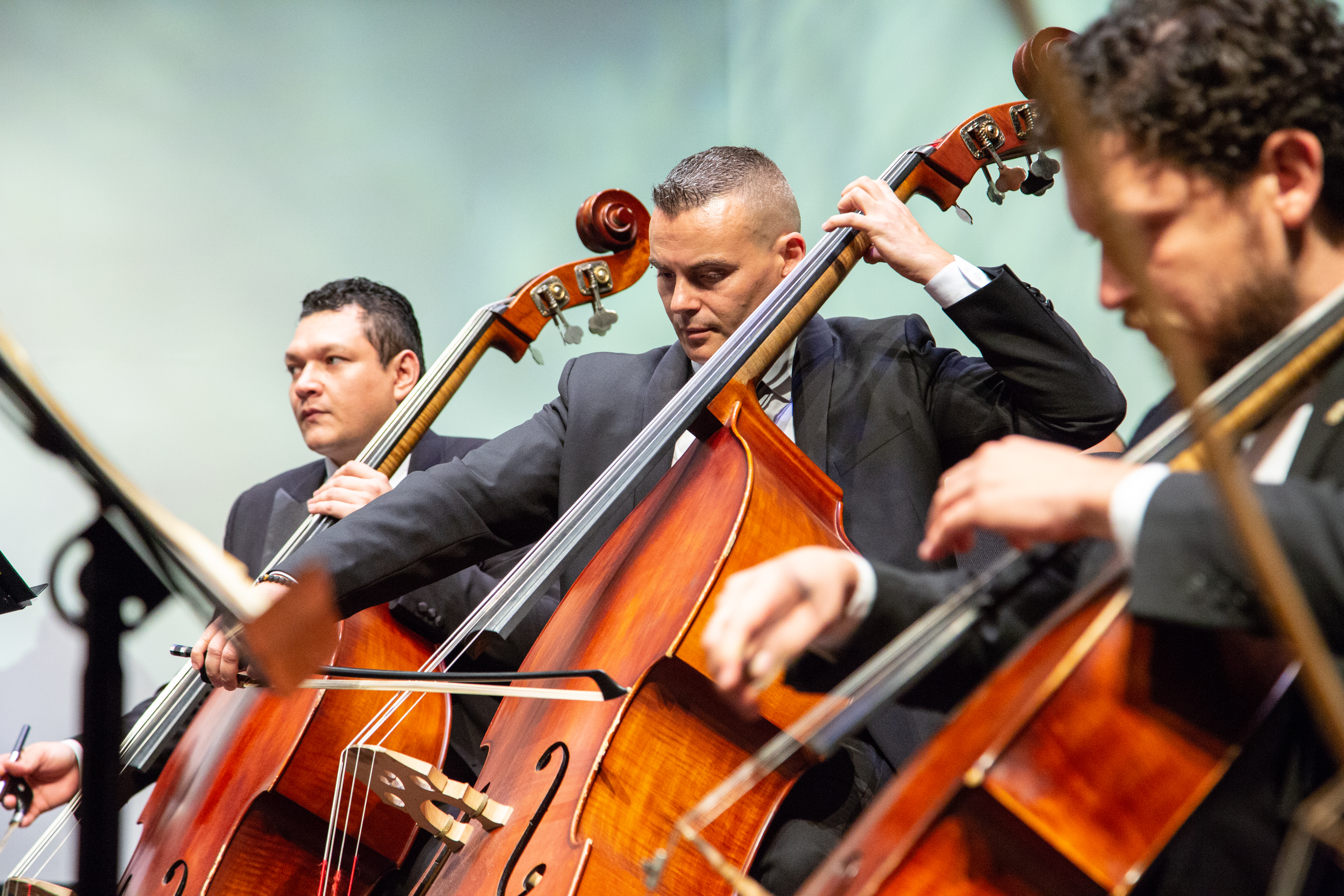 La Orquesta Filarmónica de Medellín toca el Quijote de Georg Philipp Telemann. Cortesía de la Filarmed